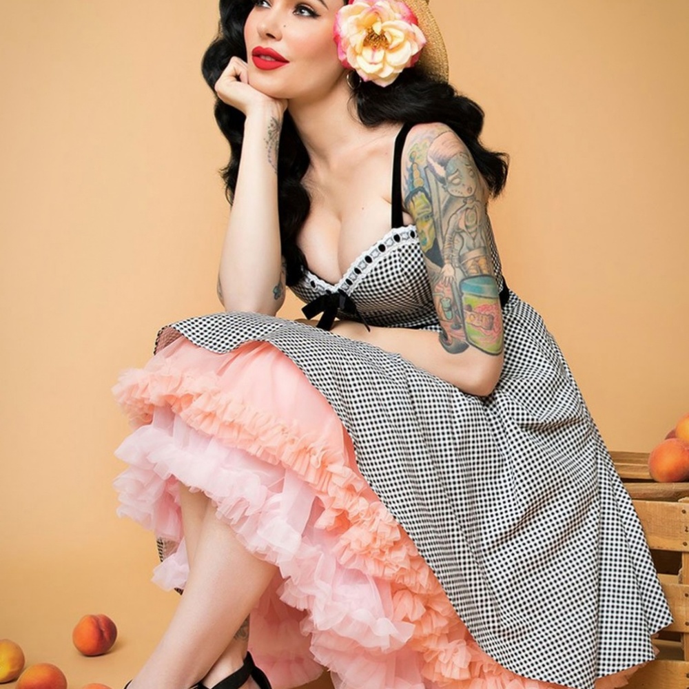 Micheline pitt gingham dress